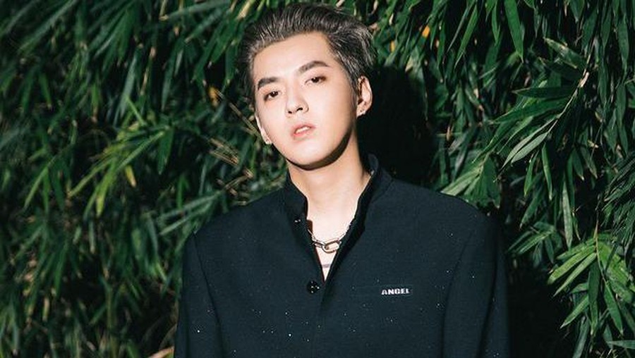 Mantan K Idol Kris Wu Divonis 13 Tahun dan Terancam Dikebiri, Terbukti Perkosa 31 Gadis